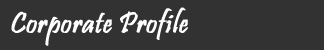 Company Profile